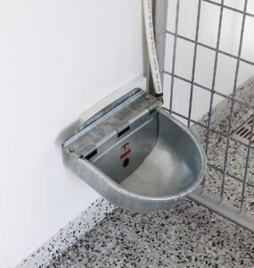 Automatic Water Bowl For Dog Kennels