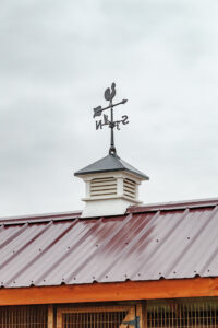 Chicken coop with cupola and weathervane 